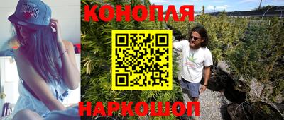 тгк Будённовск