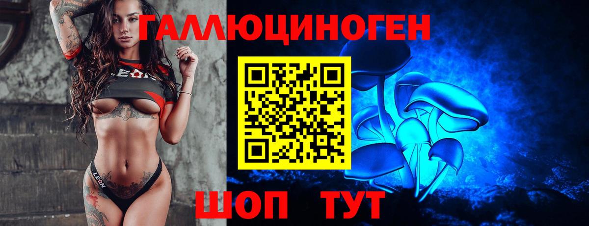 Псилоцибиновые грибы Psilocybe Чита